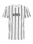 AROPOSTALE T-Shirt hellgrau/schwarz/weiß