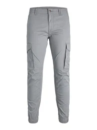 Hose 'Paul Flake' grau