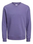 JACK & JONES Sweatshirt JJESTAR BASIC (4012) dunkellila