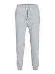 JACK & JONES Hose JPSTGordon JJBradley grau
