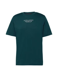 Jack & Jones T-Shirt JPRArchie JPRBLUARCHIE (1-tlg) petrol/weiß