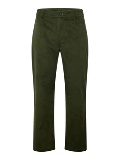 ABOUT YOU Hose 'Danny' grün