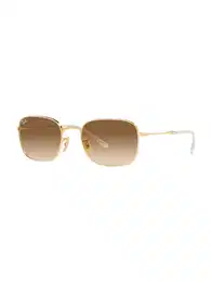 Sonnenbrille braun / gold / transparent