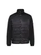 TOMMY HILFIGER Jacke feuerrot / schwarz / weiß