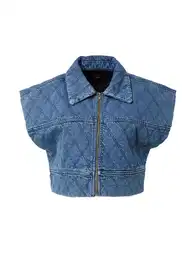 Vesta modrá džínovina