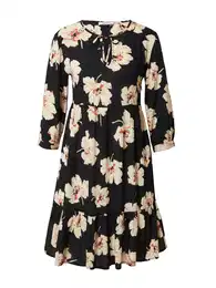 Šaty 'Charlotte' mix barev / černá