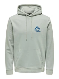 Sweatshirt 'CARL' pastellgrün