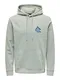 Only & Sons Sweatshirt 'CARL' pastellgrün