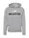 HOLLISTER Sweatshirt grau / schwarz / naturwei