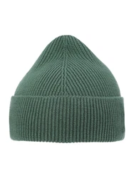 DAN FOX APPAREL Mütze 'Ian' grün