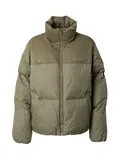 Oblečení Tommy Hilfiger Krátké image