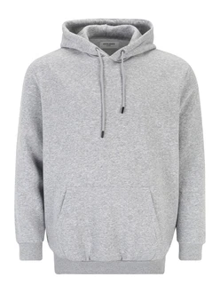Jack & Jones Plus Sweatshirt 'JJEBRADLEY' grau Jack & Jones Plus Sweatshirt 'JJEBRADLEY' grau