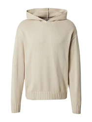 DAN FOX APPAREL Pullover 'Erwin' weiß