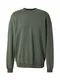 DAN FOX APPAREL Sweatshirt 'Jason' grn
