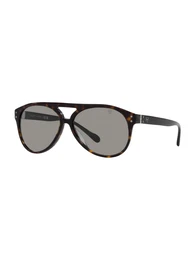 Sonnenbrille braun / karamell / dunkelbraun