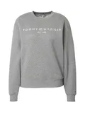 Oblečení Tommy Hilfiger Rovná Noha image