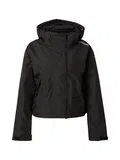 Zimní Bundy Superdry image