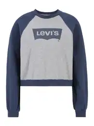 LEVI'S Sweater majica 'Vintage Raglan Crewneck Sweatshirt' plava / siva