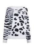 Odjeća zebra image