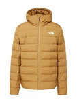 THE NORTH FACE Outdoorjacke 'Aconcagua 3' karamell/weiß