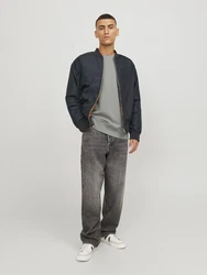 JACK & JONES Sweatshirt JJESTAR BASIC (4012) grau