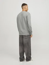 JACK & JONES Sweatshirt JJESTAR BASIC (4012) grau
