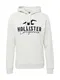 HOLLISTER Sweatshirt ultramarinblau / graumeliert / schwarz