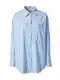 ARMEDANGELS Bluza 'Eassal'  svetlo modra / bela
