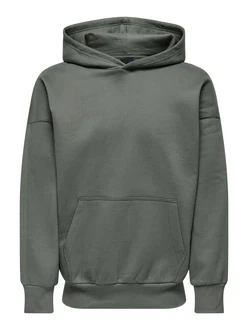 Only & Sons Sweatshirt 'Dan'