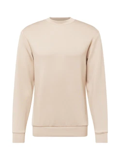 SELECTED HOMME Sweatshirt greige