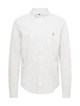Polo Ralph Lauren Hemd braun / hellgrau