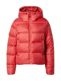 Puchové bundy Helly Hansen image