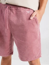 Iriedaily Shorts 'Corvin' malve/weiß