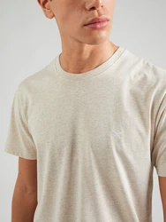 Iriedaily T-Shirt 'Chamisso' beigemeliert/weiß