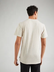 Iriedaily T-Shirt 'Chamisso' beigemeliert/weiß