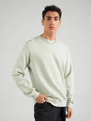 Iriedaily Sweatshirt Mini Flag 2 pastellgrün