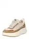 STEVE MADDEN Tenisky  krémová / hnědá