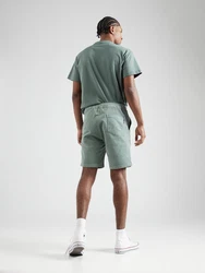 Iriedaily Shorts 'Corvin' mint/weiß