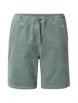 Iriedaily Shorts 'Corvin' mint/weiß
