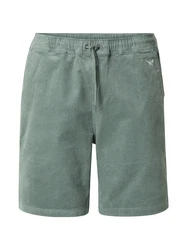 Iriedaily Shorts 'Corvin' mint/weiß
