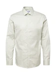 SELECTED HOMME Hemd 'SLHEthan' pastellgrn