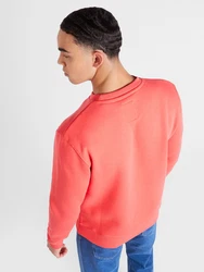 ALPHA INDUSTRIES Sweatshirt taubenblau/rot/melone/weiß