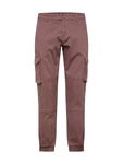 Only & Sons Hose 'Cam Stage' kastanienbraun