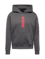 ALPHA INDUSTRIES Sweatshirt dunkelgrau/grenadine
