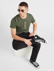 ALPHA INDUSTRIES T-Shirt grau/oliv