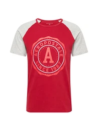 AROPOSTALE T-Shirt graumeliert / rot / pastellrot / wei
