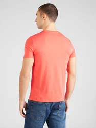 ALPHA INDUSTRIES T-Shirt dunkelgrau/melone