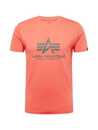 T-Shirt dunkelgrau / melone