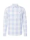 Tommy Jeans Hemd blau / hellblau / weiß