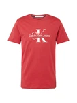 Calvin Klein Jeans T-Shirt rot/weiß